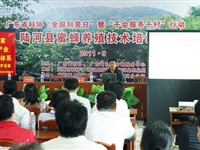 省农技协到陆河县举办蜜蜂饲养技术培训