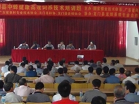 省农技协开展中蜂养殖实用技术培训活动