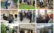 广东中青年科学家赴云浮开展科技志愿服务活动