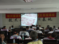 开平市科协联合举办罗非鱼病害防治技术培训