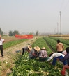 江门开平市科协在冈陵农村科普示范基地举办蔬菜种植技术培训班