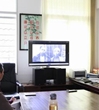 茂名市科协组织观看党的群众路线教育专题片《基石》