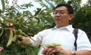 肇庆封开县水果协会助力水果产业发展壮大