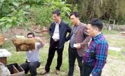 河源市东源县科协领导到康禾镇调研养蜂业发展情况