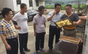 河源市科协邀请养蜂专家到贫困户家中现场指导养蜂技术
