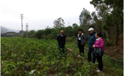 江门市林学会开展送林业技术下基层走进良西镇开展技术服务活动