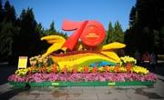 2019年第五届黄花文化节盛大举办