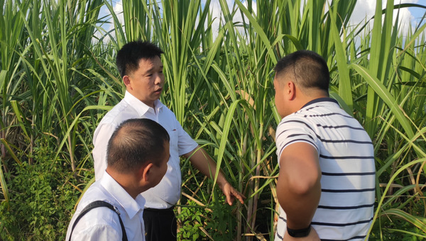 广东甘蔗学会党支部开展“传承红色精神 助力乡村振兴”主题党日活动