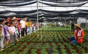 台山市科协开展“珍爱地球 人与自然和谐共生”绿植小盆栽科普大讲堂