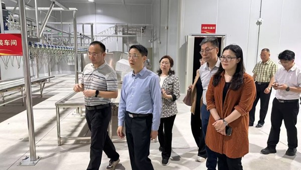 省食品学会参与开平市马冈鹅预制菜产业园专题调研