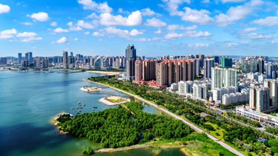 2025年湛江市科技工作者座谈会召开