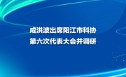 成洪波出席阳江市科协第六次代表大会并调研