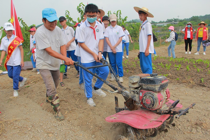 202210130826267210.jpg 202210130826267210.jpg