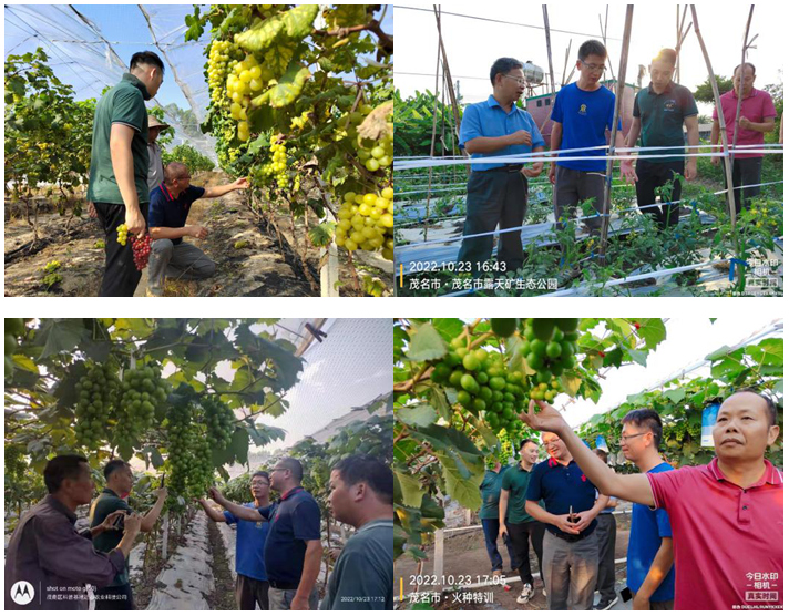 202210311630128625.jpg 202210311630128625.jpg