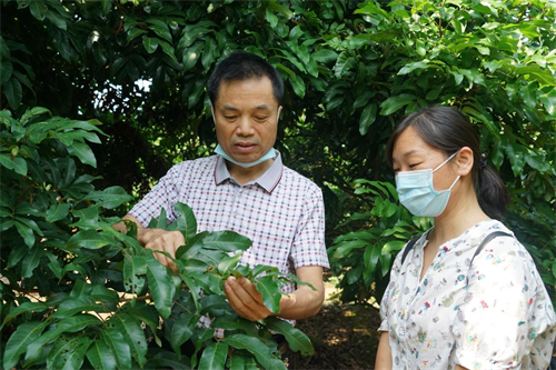 202211041630559251.png 202211041630559251.png