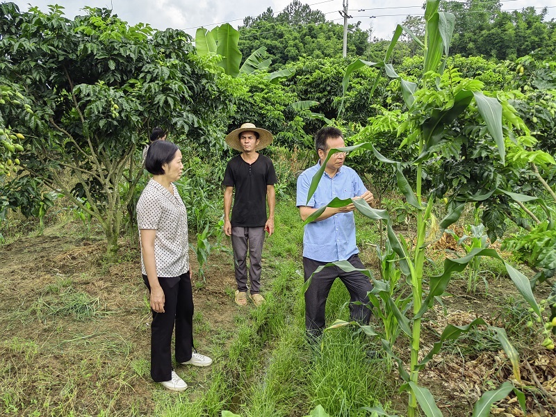 202306191901093913.jpg 202306191901093913.jpg