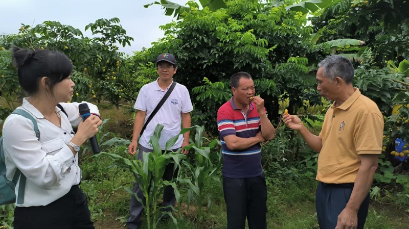 202306281610021151.jpg 202306281610021151.jpg