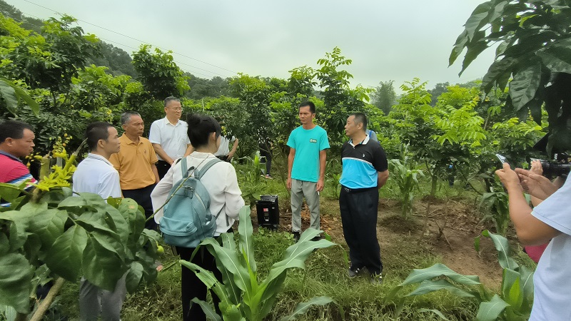 202306281610512088.jpg 202306281610512088.jpg