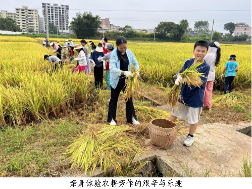 翁源县科协举办“拾趣湿地生态 探索农耕文明2-2
