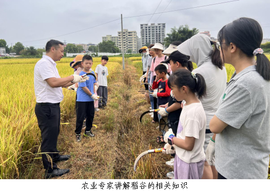 翁源县科协举办“拾趣湿地生态 探索农耕文明1