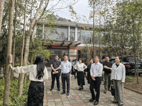 图片20