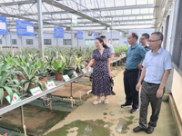 湛江老科协一行到湛江农垦科研所调研