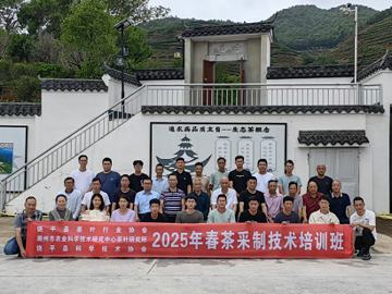 潮州市饶平县科协联合举办2025年春茶采制技术培训班