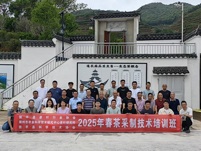潮州市饶平县科协联合举办2025年春茶采制技术培训班
