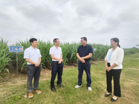 湛江市遂溪县科协领导慰问科技工作者