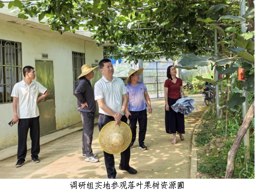 韶关乐昌市科协走访调研岭南落叶果树研究所