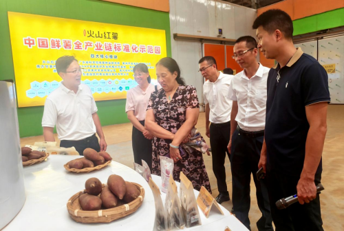 在广东佳淳农业科技有限公司调研