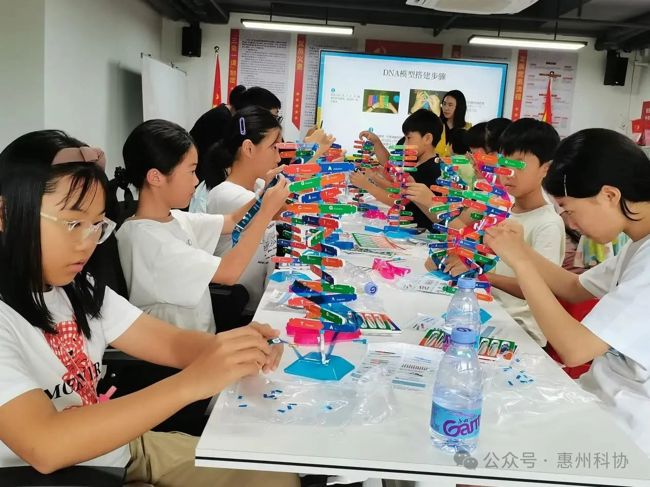 微信图片_20250728103654