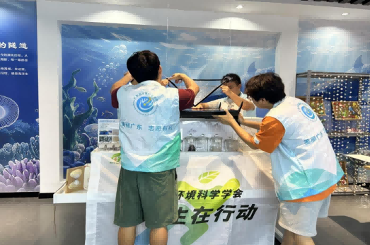图片 5