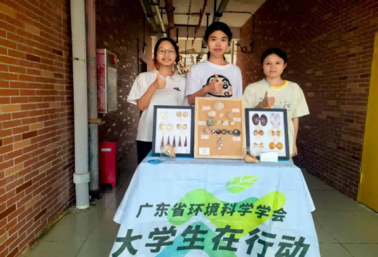 图片 7