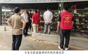 韶关市浈江区开展2025年“粤港澳大湾区人才浈江行”科技志愿服务活动