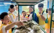 科创汇智•湾区SHEN行动——湾区学子参访中国科学院大亚湾海洋生物综合实验站