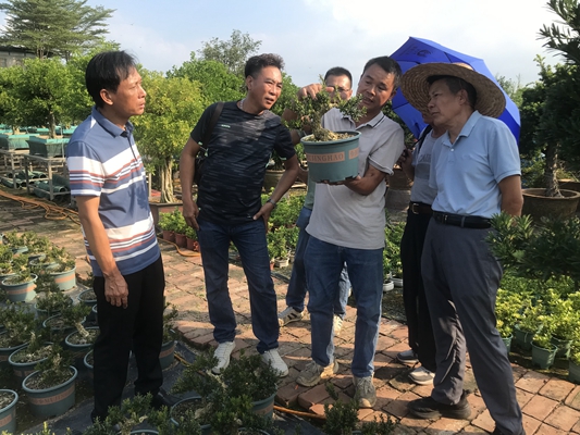 图1_副本 图1_副本