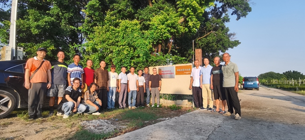 图2_副本 图2_副本