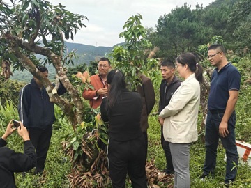 云浮市郁南县举办荔枝的修剪及促花技术、新水果的引种与推广培训班
