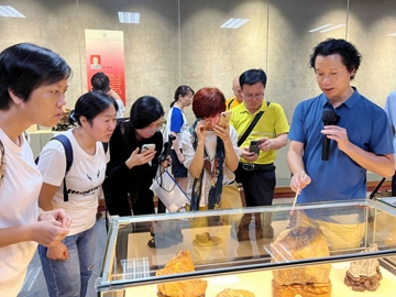 中国岭南蜡石藏品25周年回顾展落幕