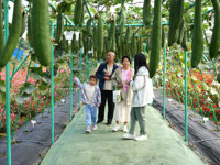 2025年东莞市航天良种展示会落幕