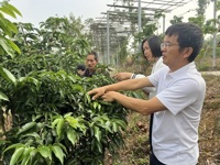 广东郁南黄皮科技小院首席专家赴云浮市郁南县助力特色农业产业发展