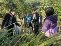 云浮市郁南县肉桂科技小院专家团队下沉一线加快推动产学研融合