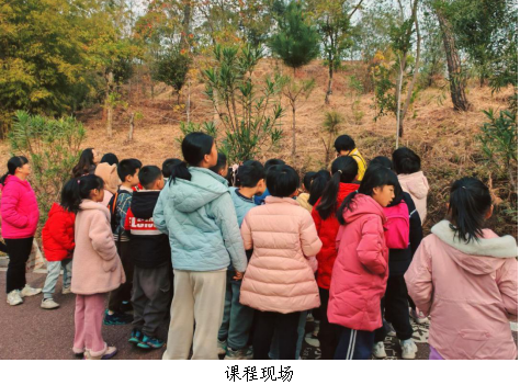 南雄科技馆公益课：探秘松树生存智慧 解锁松果自然密码