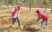 茂名市电白区科协党员干部开展“一个机关一片绿”植树活动