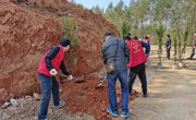 韶关市浈江区科协开展“厚植绿意 共建绿美”植树主题党日活动