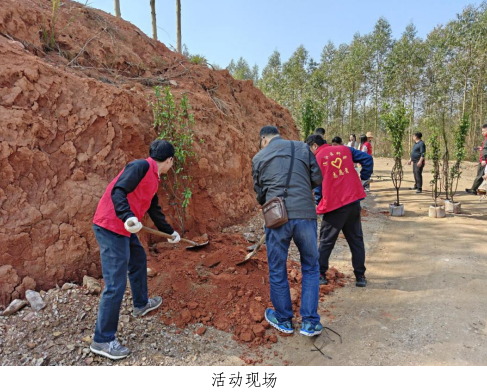 韶关市浈江区科协开展“厚植绿意 共建绿美”植树主题党日活动