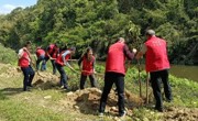 惠州市惠城区科协赴岚田村开展植树活动