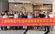 三倍体葡萄牙牡蛎养殖技术标准培训与交流会在湛江“中国蚝都”举办
