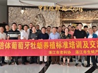 三倍体葡萄牙牡蛎养殖技术标准培训与交流会在湛江“中国蚝都”举办
